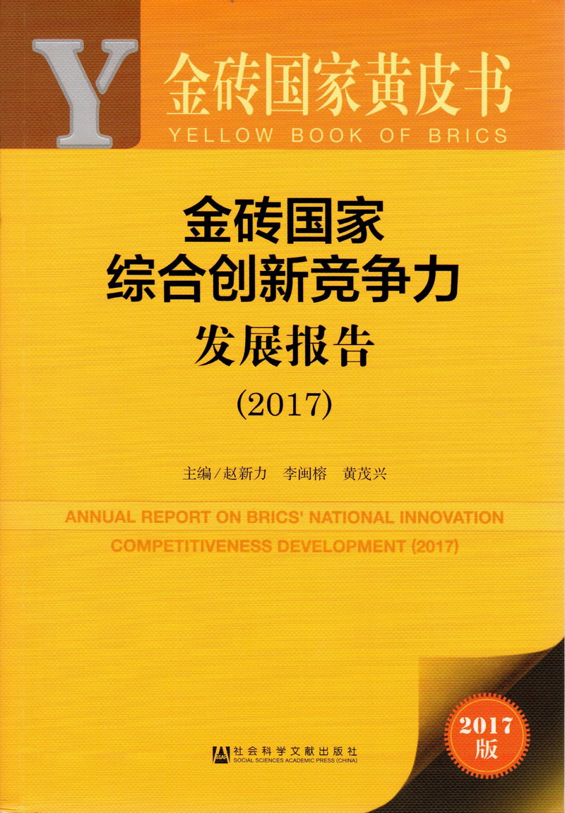 美女被大鸡吧操的痛不欲生欲死欲生的视频金砖国家综合创新竞争力发展报告（2017）